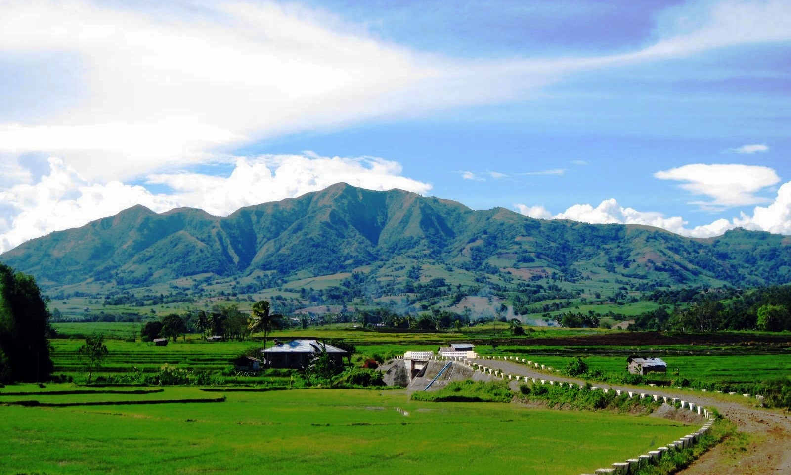 YWAM Bukidnon Update- January 2015